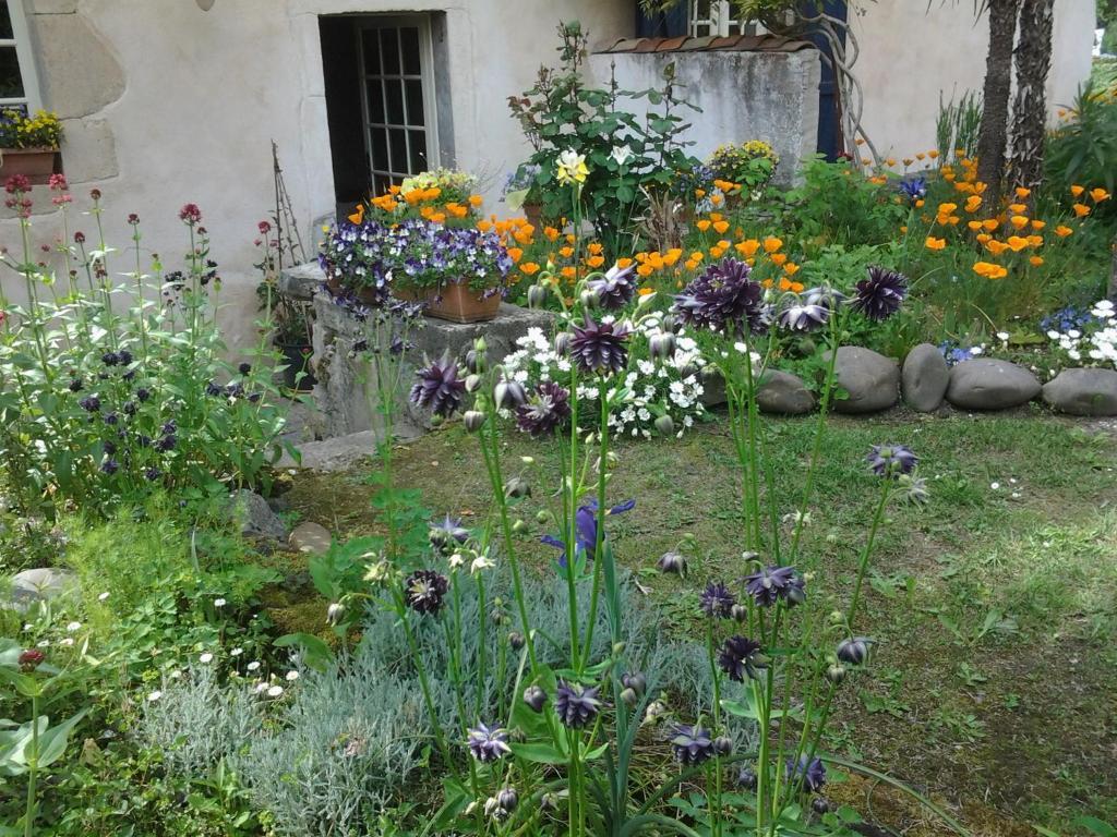 Chambres D'Hotes Aroha Sorde-lʼAbbaye Dış mekan fotoğraf